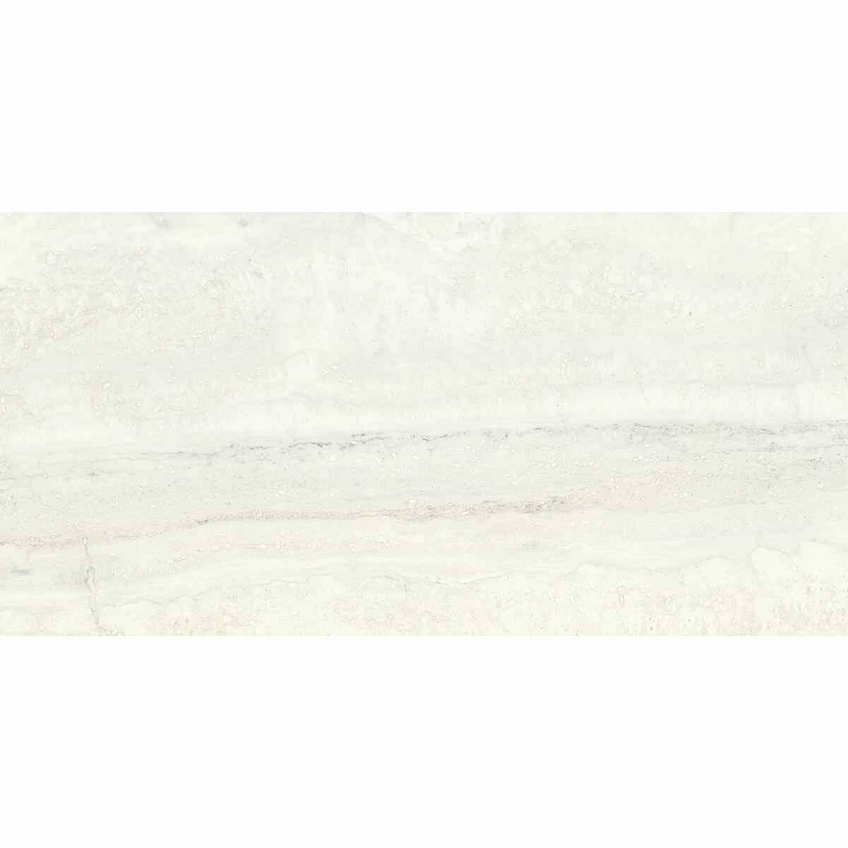 Invictus - インヴィクタス(White)