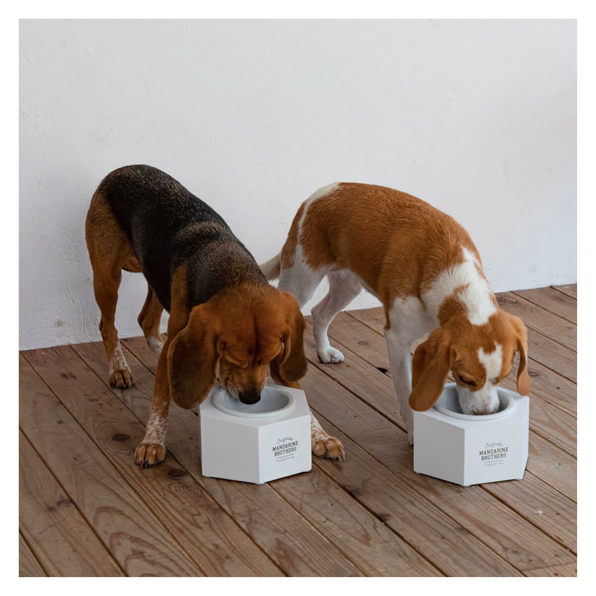 MB Food Stand　MBフードスタンド   （フードボウル付）