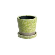 カラー グレーズド ポット  CH15-G527LGN