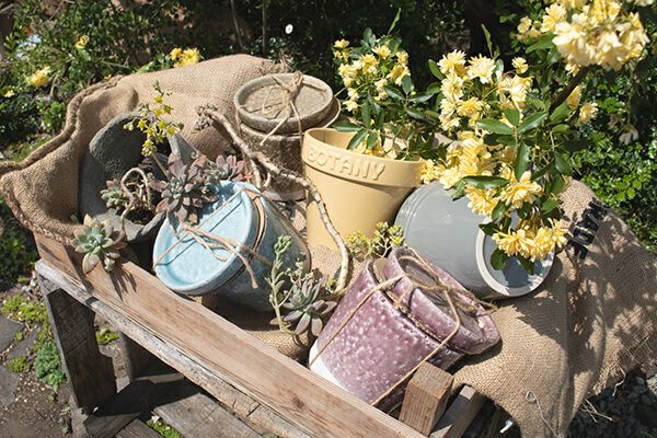 カラー グレーズド ポット  CH15-G527LGN