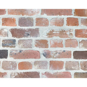 キャン’ブリック マンチェスター