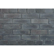 キャン’ブリック クロブリ