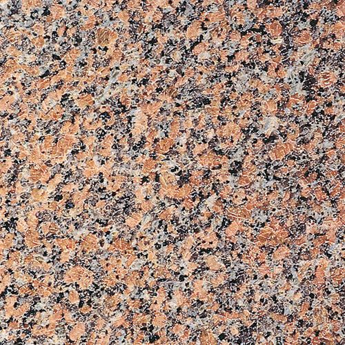 マルコポーロ（磨き）