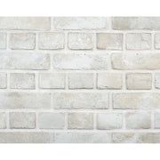 キャン’ブリック シロブリ