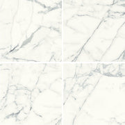 ビアンコマルモ