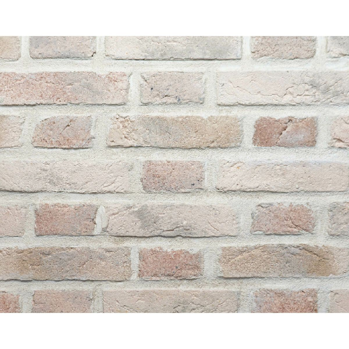 キャン’ブリック ネザーランド