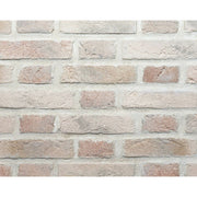 キャン’ブリック ネザーランド