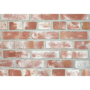 キャン’ブリック テキサスクレンショー