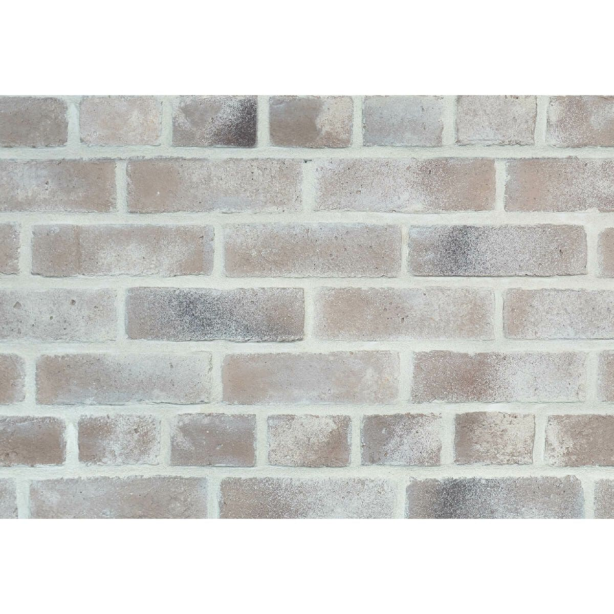 キャン’ブリック テキサスクレンショー