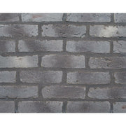 キャン’ブリック デザイナーズシリーズ