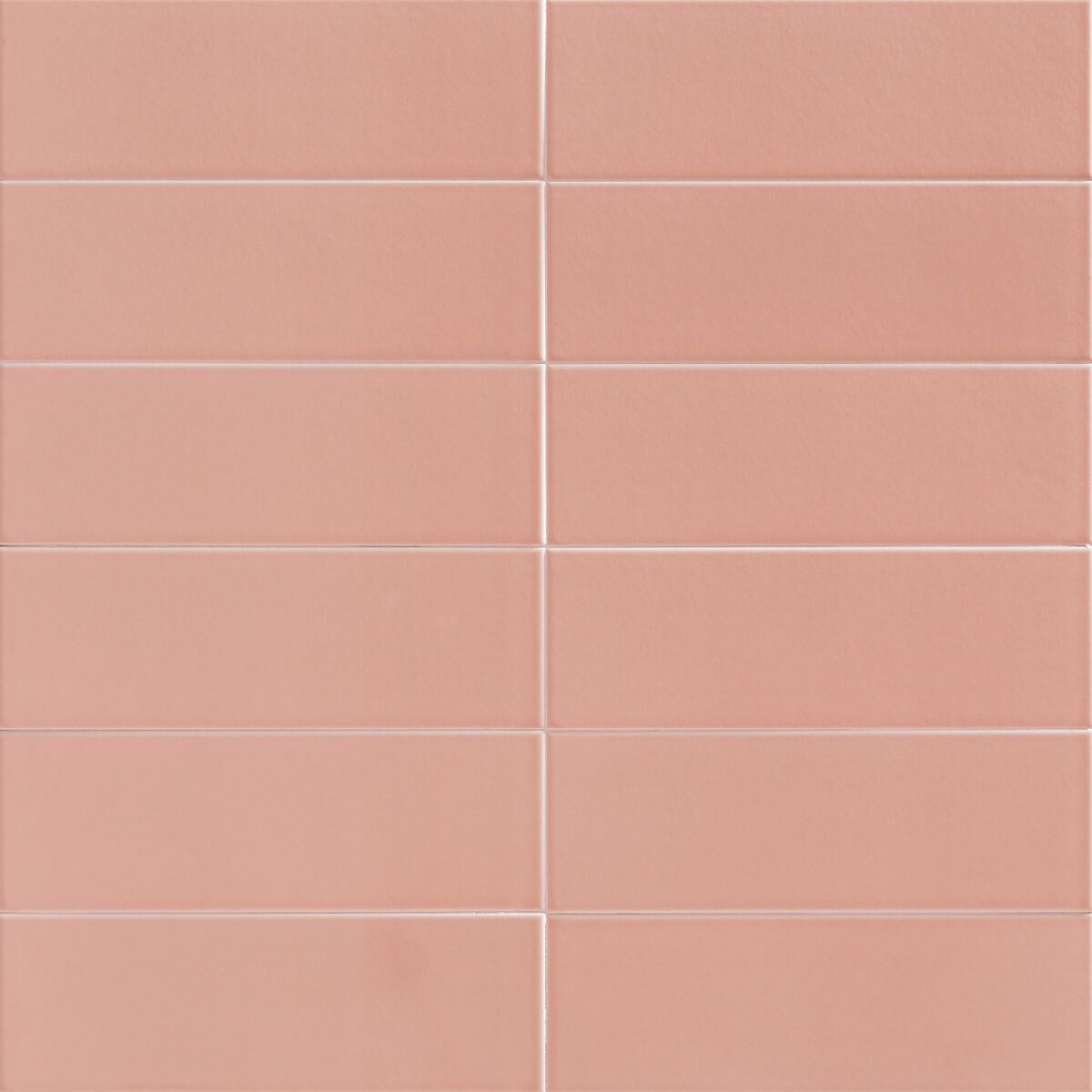 JUNGLE - ジャングル(FLAMINGO)