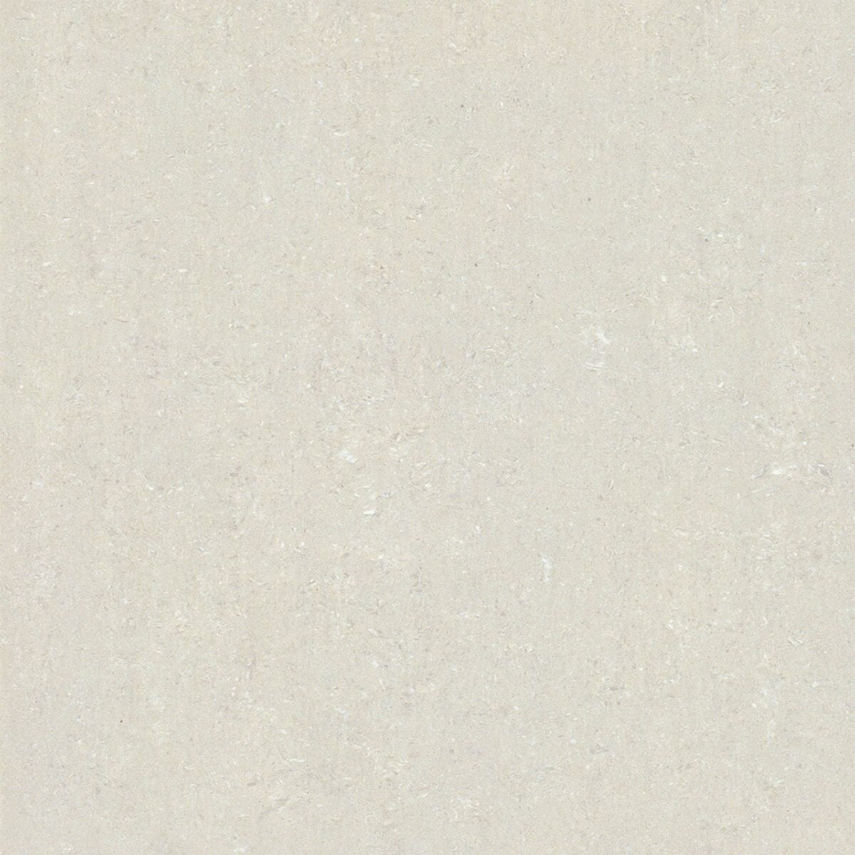 ノブルヌーク（磨き）