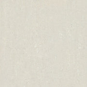 ノブルヌーク（磨き）