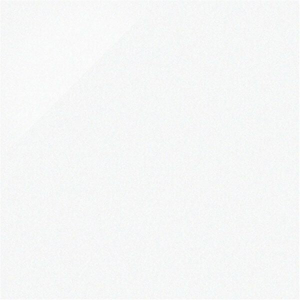 ニューセンチュリー