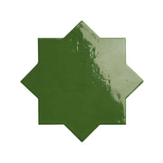 ARGILE-アーガイル（STAR ARGILE VERDE）18X18