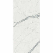 マルミマキシマム