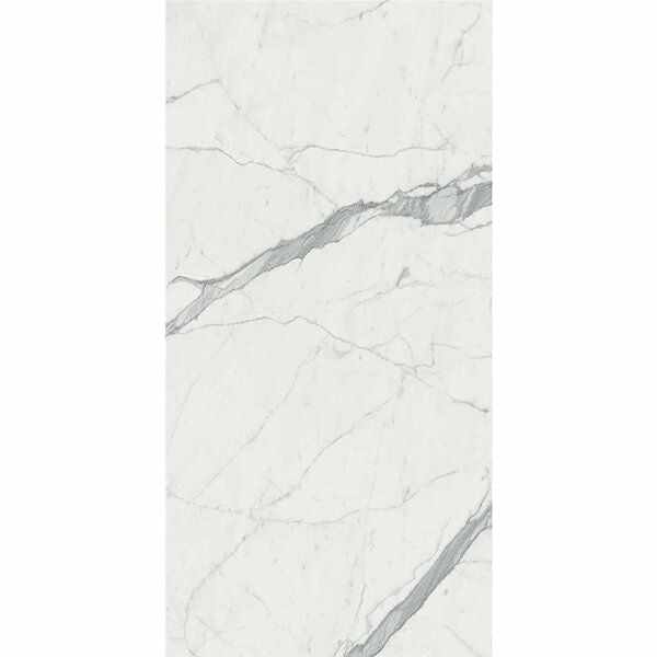 マルミマキシマム