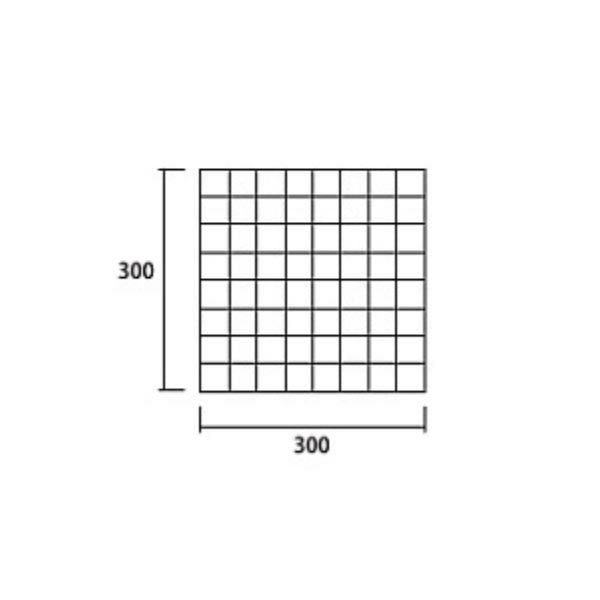 カント＆パルティ