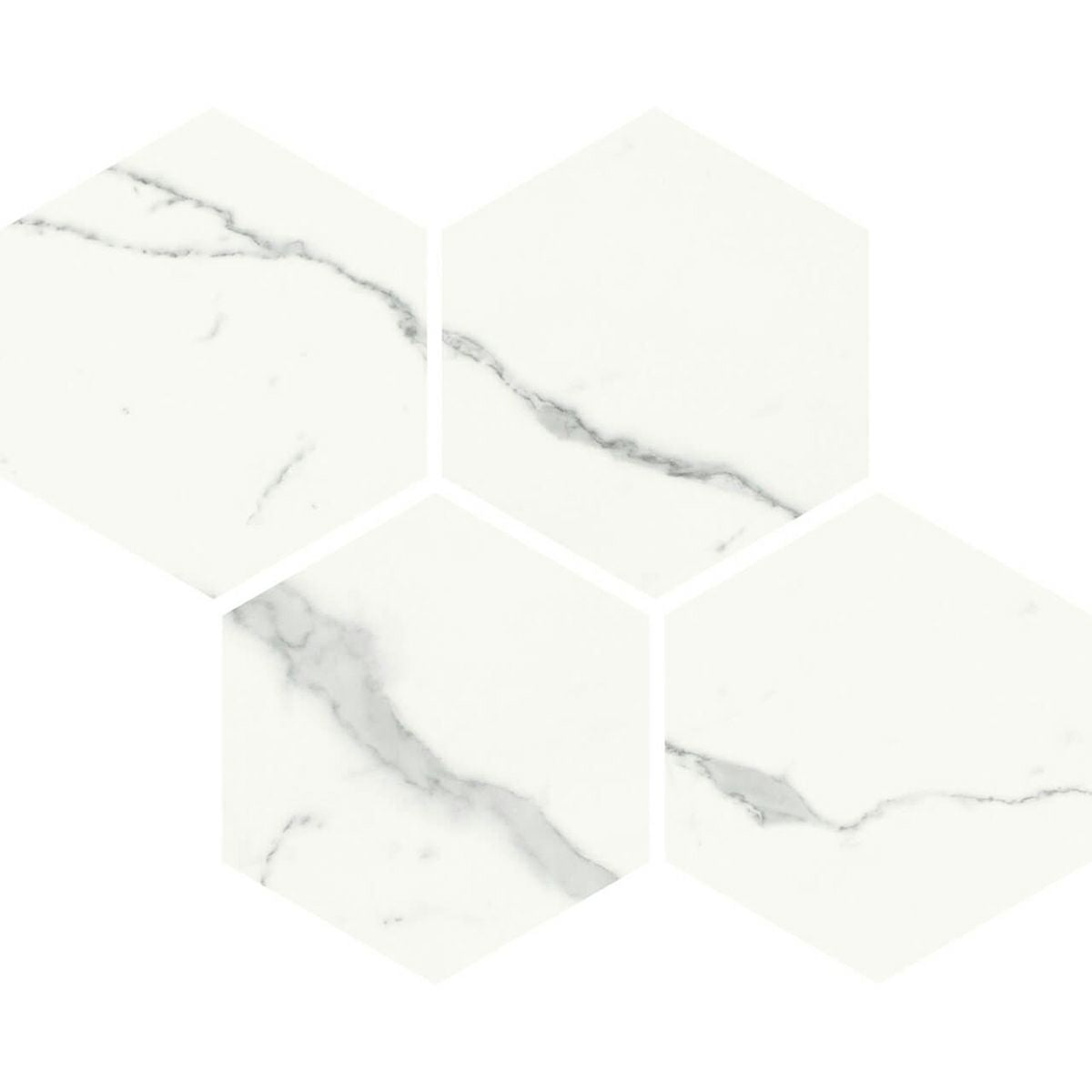 クラシコマルモ