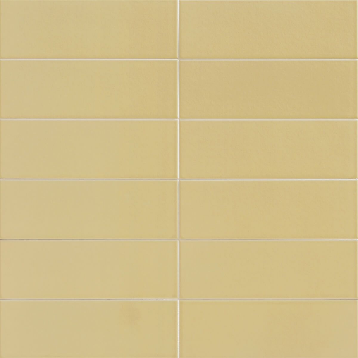 JUNGLE - ジャングル(SUNSET)