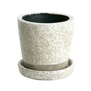 カラー グレーズド ポット  CH13-G476IV