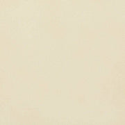 ニュートランス（フラット）<br>エコカラットプラス