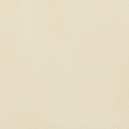 ニュートランス（フラット）<br>エコカラットプラス