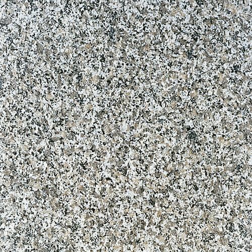 マルコポーロ（磨き）