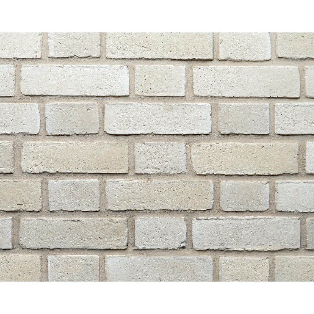 キャン’ブリック シロブリ