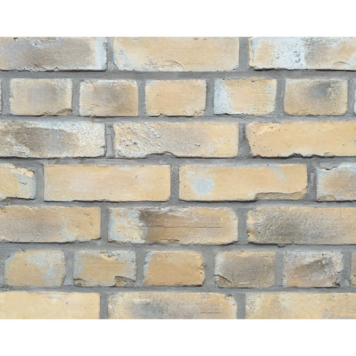 キャン’ブリック ケンブリッジ