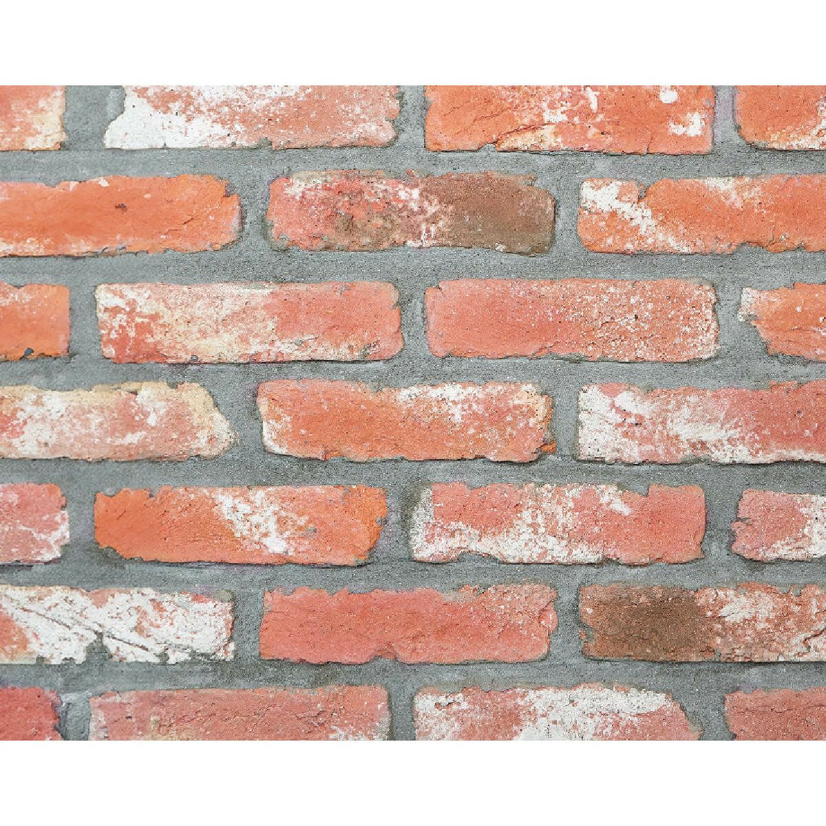 キャン’ブリック アムステルダム