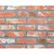 キャン’ブリック アムステルダム