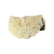 キャン’ストーン コーラル