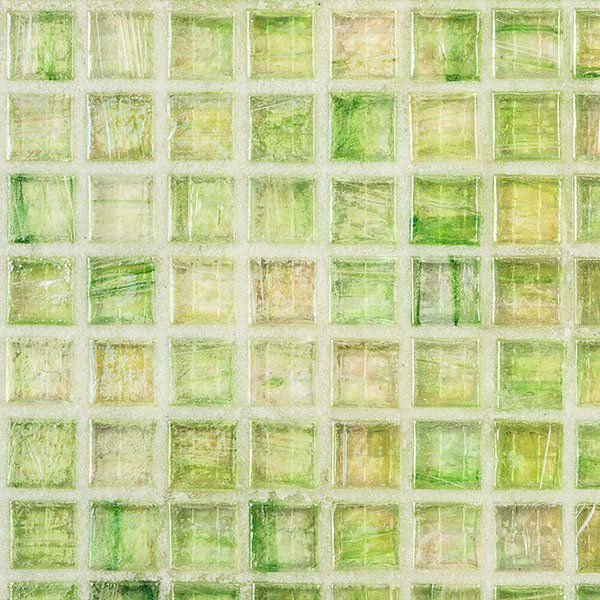 CELESTE - セレステ