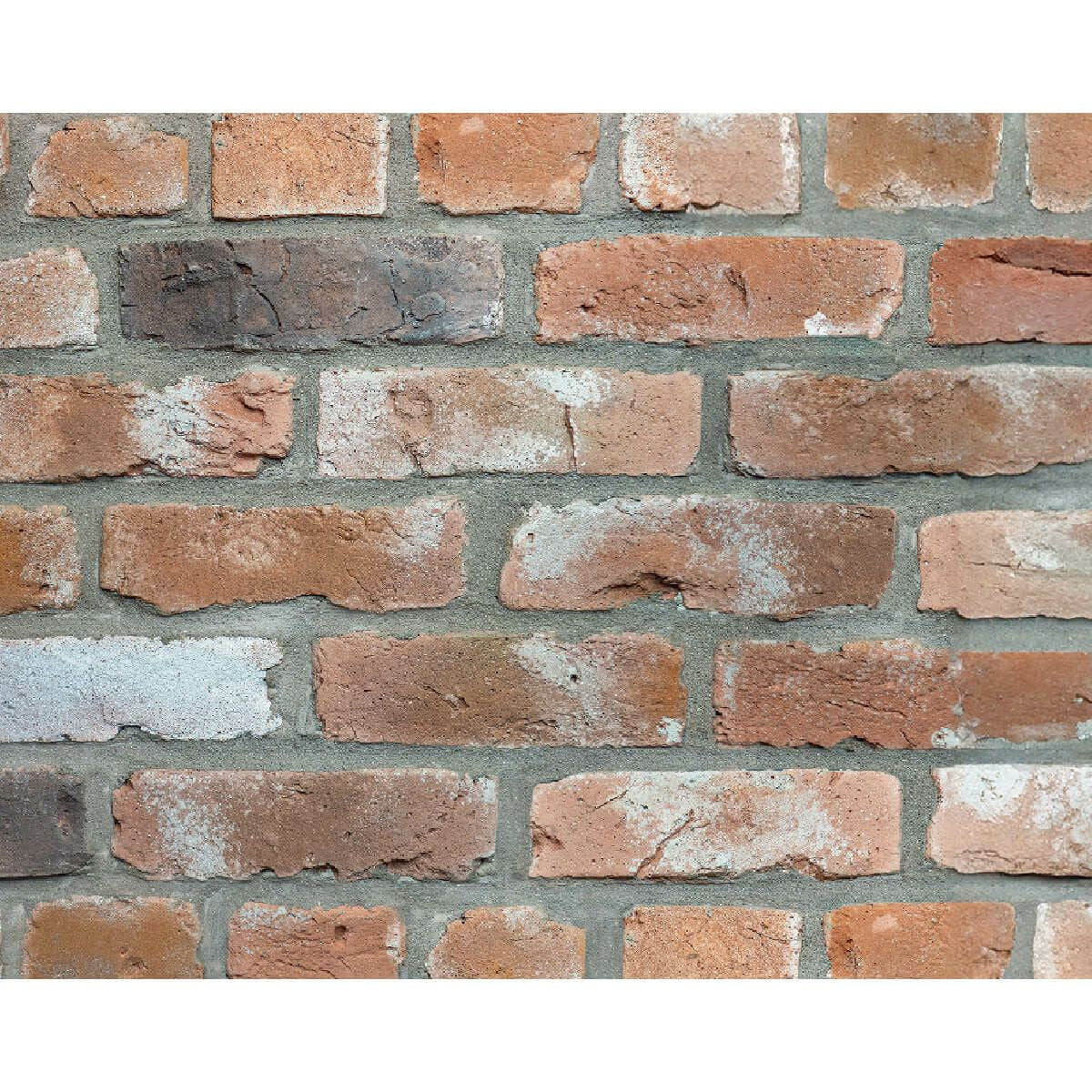 キャン’ブリック マンチェスター