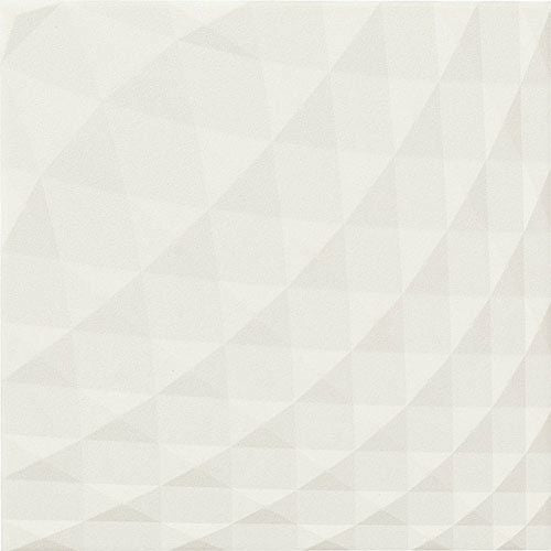 ニュートランス（レリーフ）<br>エコカラットプラス