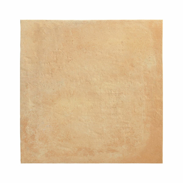 ARGILE-アーガイル（ARGILE PALERMO）45X45