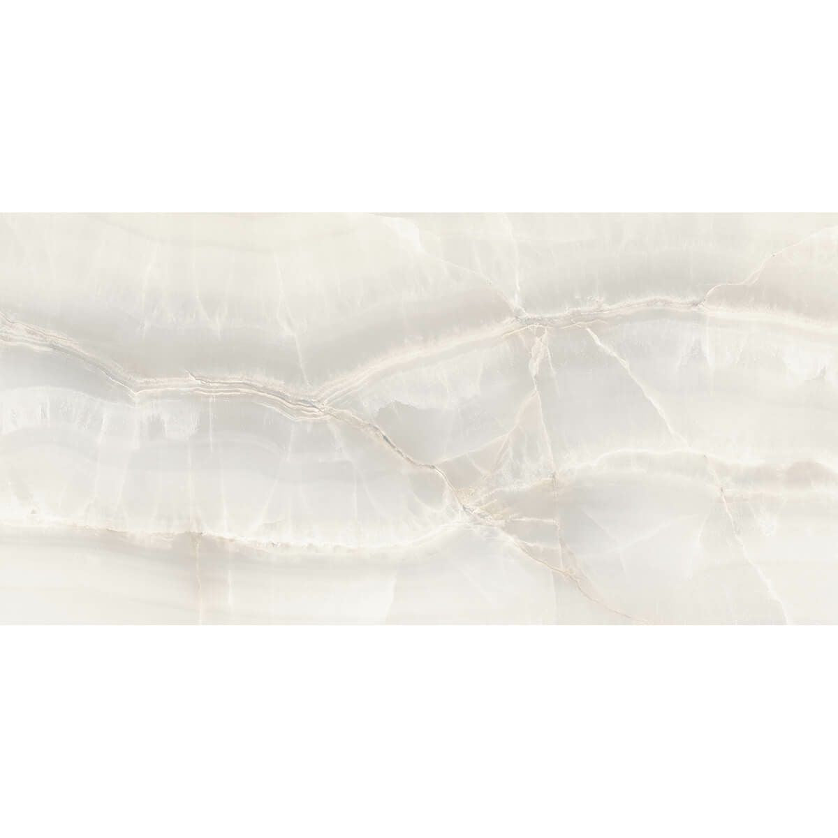 Akoya - アコヤ(White)