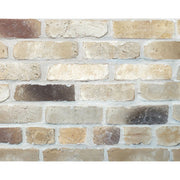 キャン’ブリック イングランド