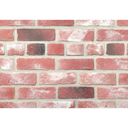 キャン’ブリック スタンダード