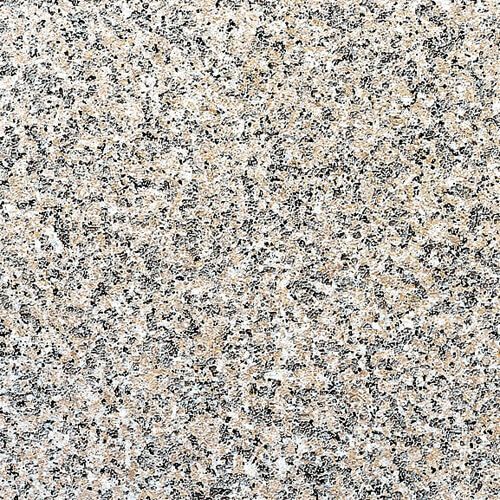 マルコポーロ（磨き）