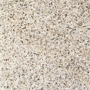 マルコポーロ（磨き）