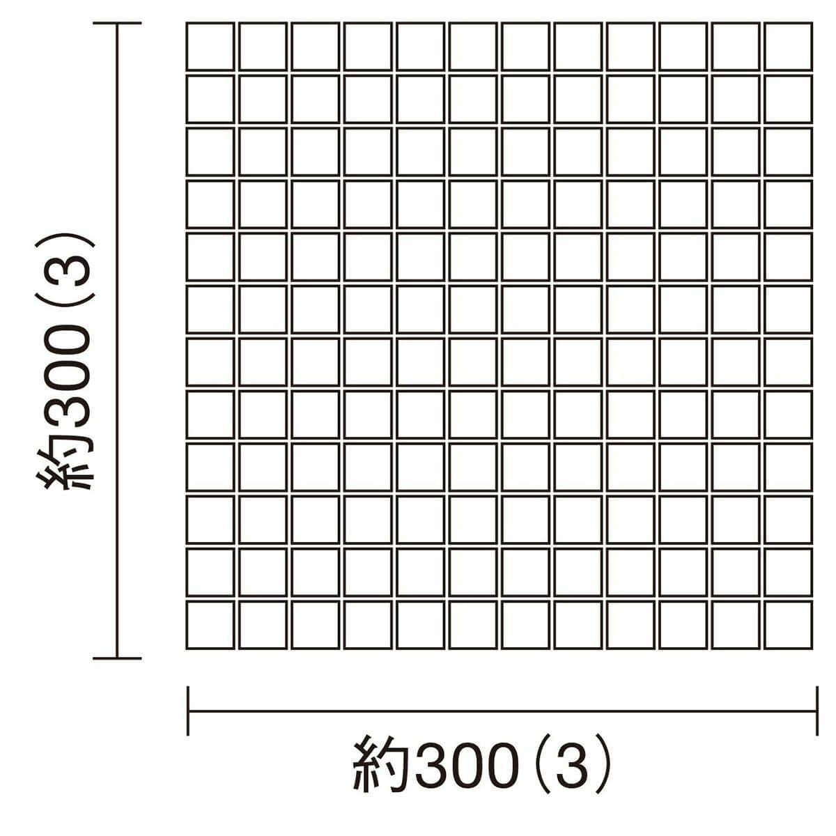 セリエビアンカII