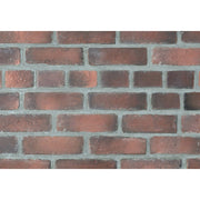 キャン’ブリック スタンダード