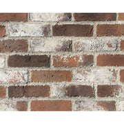 キャン’ブリック ボストン