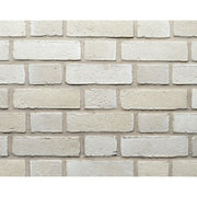 キャン’ブリック シロブリ