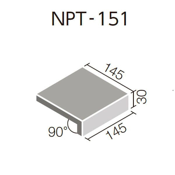 ニューペネトレート