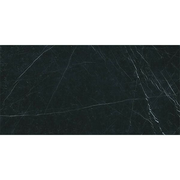 マルミマキシマム