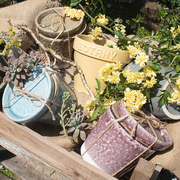 カラー グレーズド ポット  CH15-G527LPL