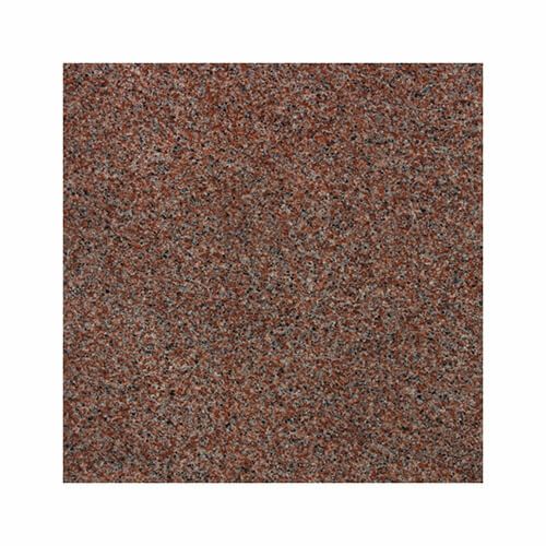 マルコポーロ（磨き）